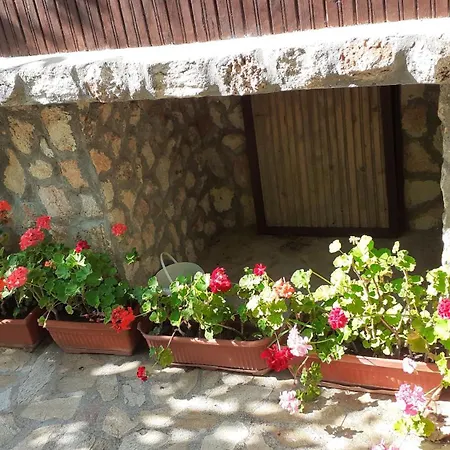 Pensión Danny Shabla