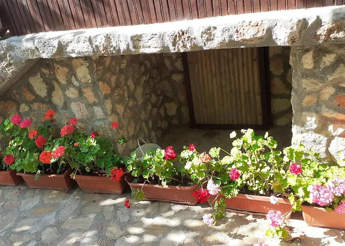 Къща за гости Danny Шабла